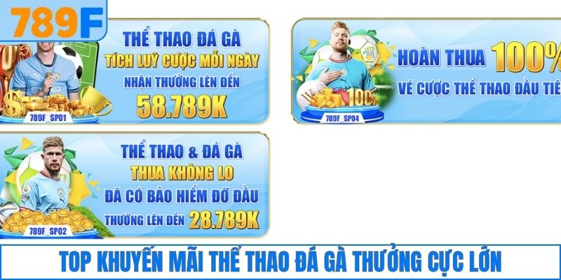 Top khuyến mãi thể thao đá gà thưởng cực lớn