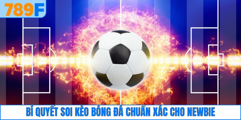 Bí quyết soi kèo bóng đá chuẩn xác cho newbie