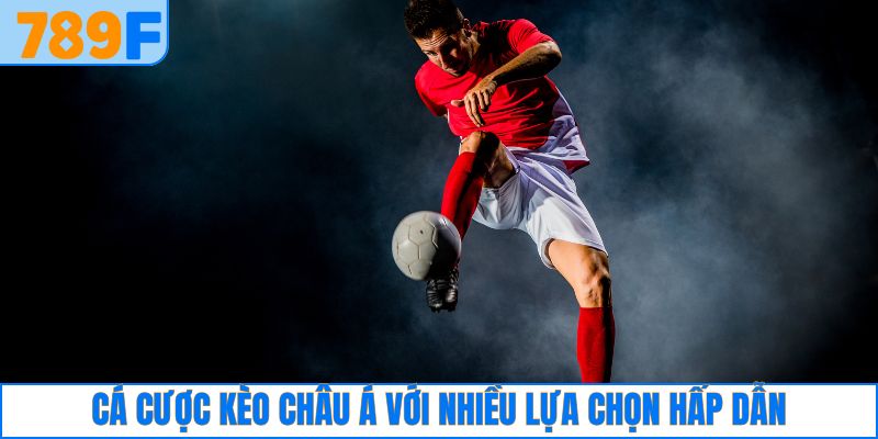 Cá cược kèo châu Á với nhiều lựa chọn hấp dẫn