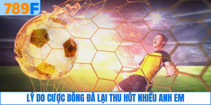 Lý do cược bóng đá lại thu hút nhiều anh em
