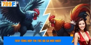 789F tổng hợp tin tức đá gà mới nhất