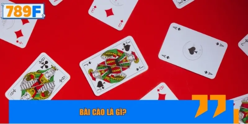 Bài cào là gì