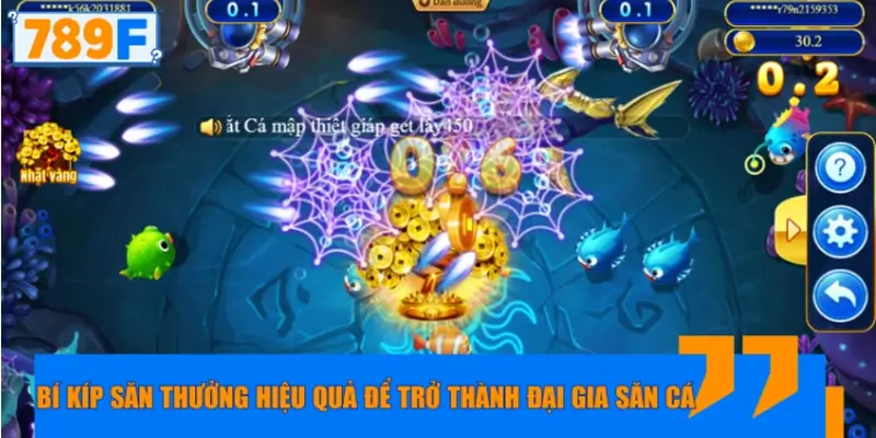 Bí kíp săn thưởng hiệu quả để trở thành đại gia săn cá