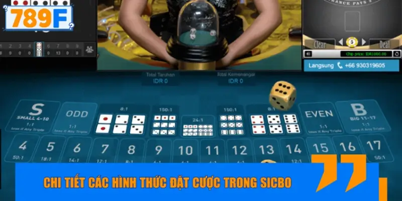 Chi tiết các hình thức đặt cược trong Sicbo