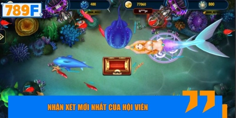 Cộng đồng ngư thủ đánh giá tích cực về tính năng mới