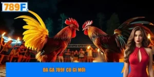 Đá gà 789F có gì mới
