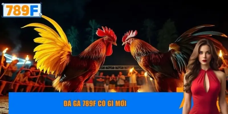 Đá gà 789F có gì mới