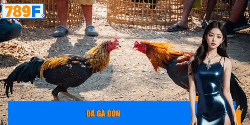 đá gà đòn