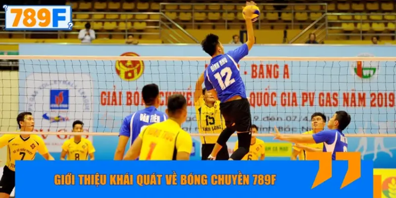 Giới thiệu khái quát về bóng chuyền 789F