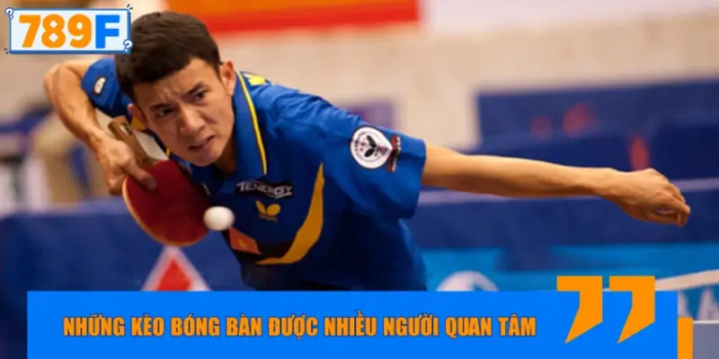 Gợi ý những kèo cược bóng bàn đáng chú ý