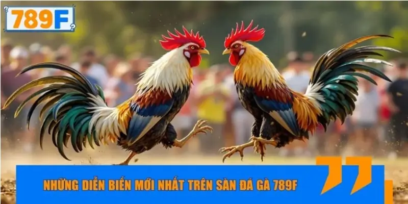 Những diễn biến mới nhất trên sàn đá gà 789F