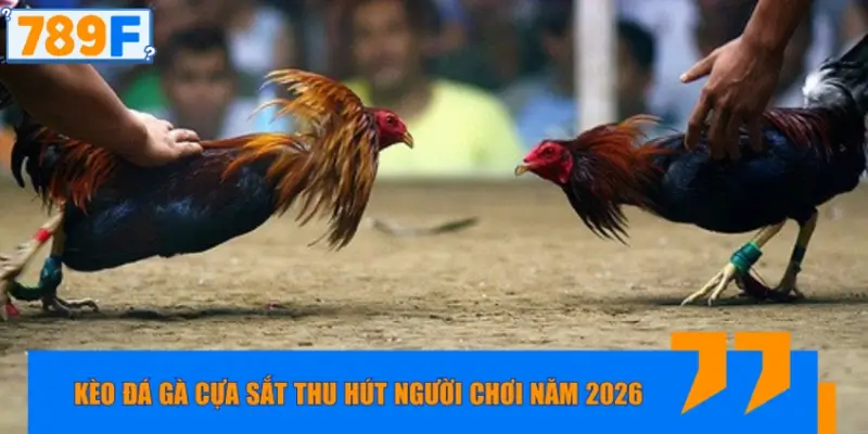 Những kèo đá gà cựa sắt thu hút người chơi năm 2026