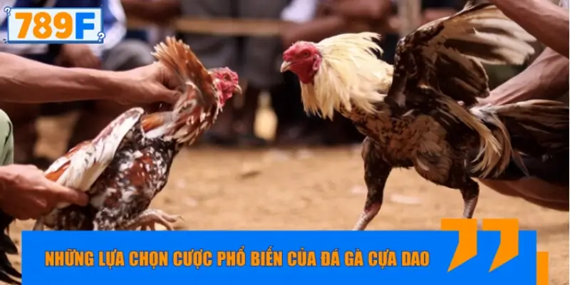 Những lựa chọn cược phổ biến của đá gà cựa dao