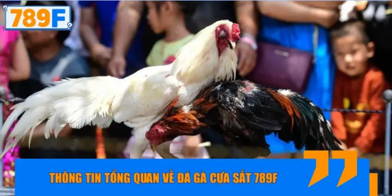 Thông tin tổng quan về đá gà cựa sắt 789F