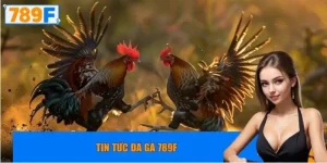 Tin tức đá gà 789F