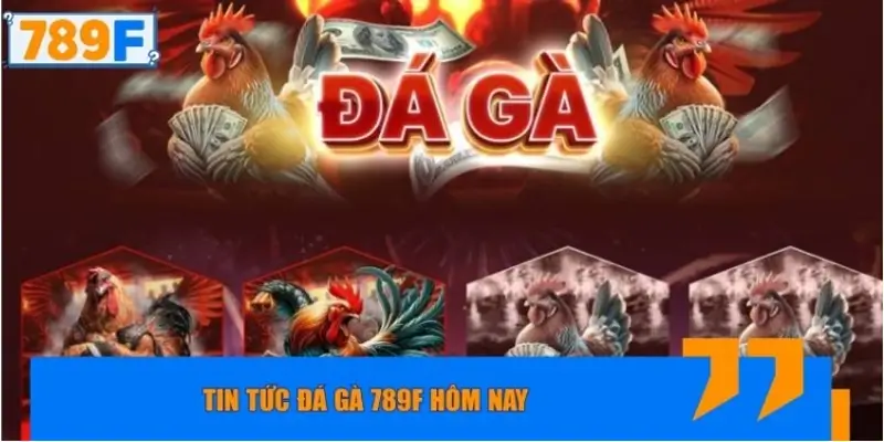 Tin tức đá gà 789F hôm nay đang “nóng” ở điểm nào?