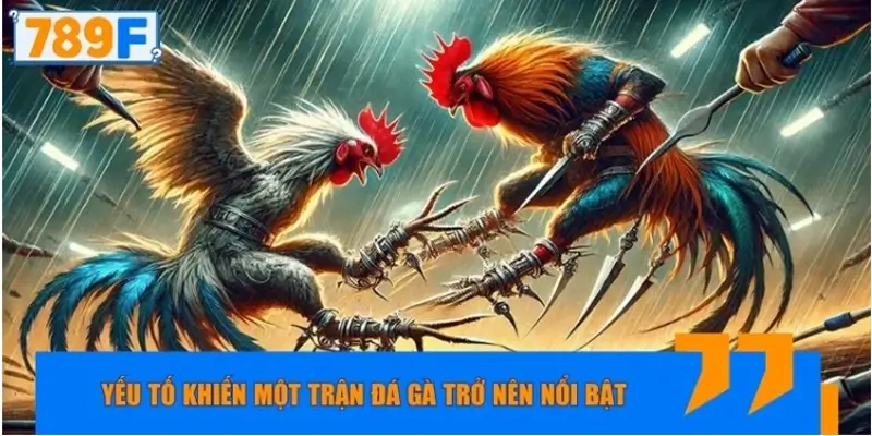 Yếu tố khiến một trận đá gà trở nên nổi bật
