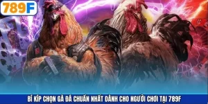 Bí kíp chọn gà đá